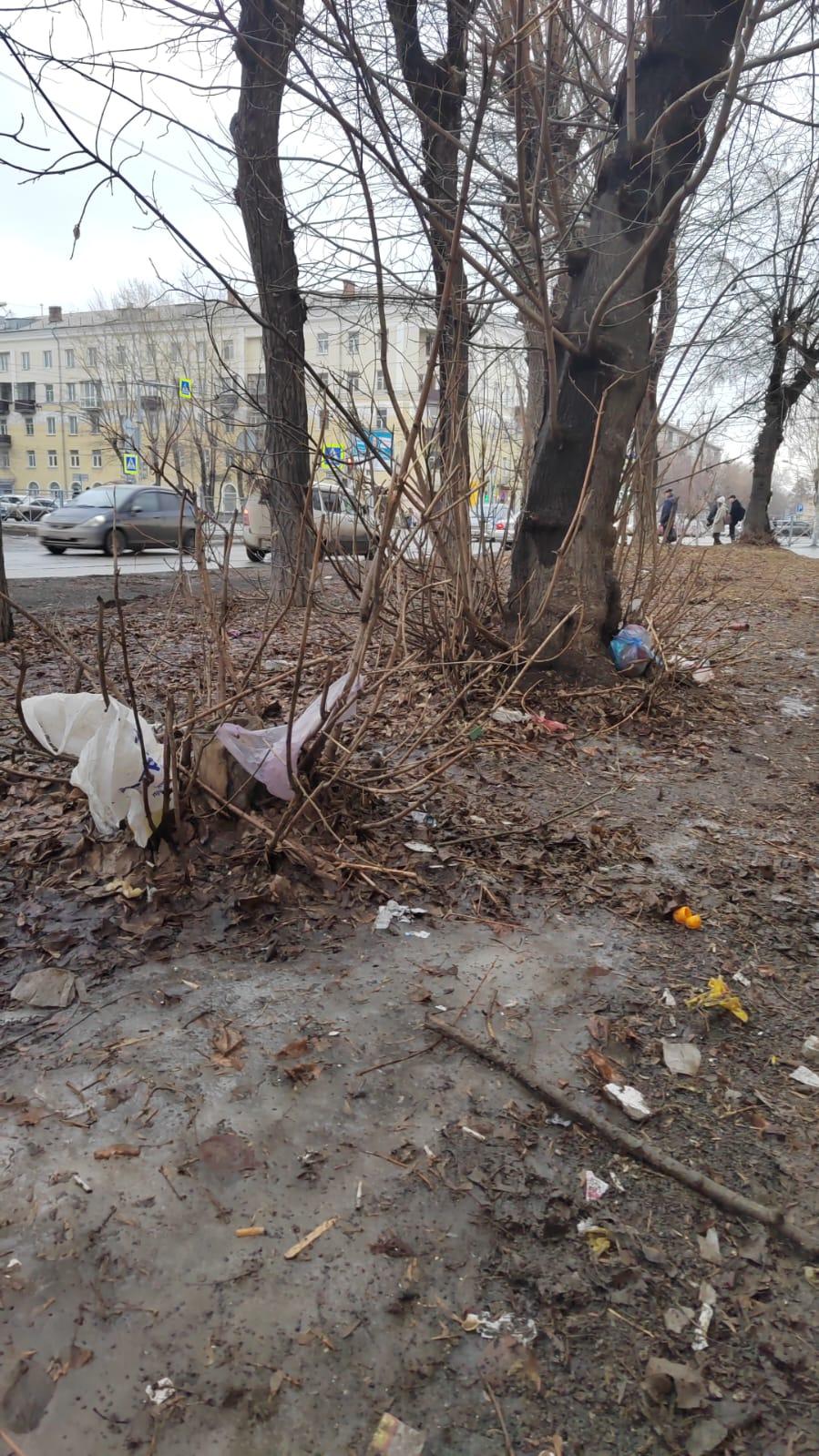 Фото «Город-помойка»? Новосибирцы возмущаются из-за гор мусора в мегаполисе. Фоторепортаж 9